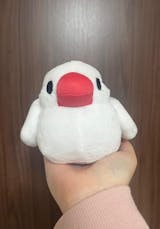 「つれてってぶんちょう」つれぶん 文鳥ぬいぐるみ