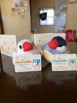 「つれてってぶんちょう」つれぶん 文鳥ぬいぐるみ