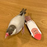 うちの子にも一芸を文鳥用スケボーキーホルダー 指スケ(フィンガースケートボード)