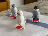 うちの子にも一芸を文鳥用スケボーキーホルダー 指スケ(フィンガースケートボード)