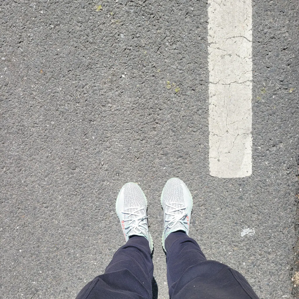 이지부스트 350 v2 벨루가 블루틴트