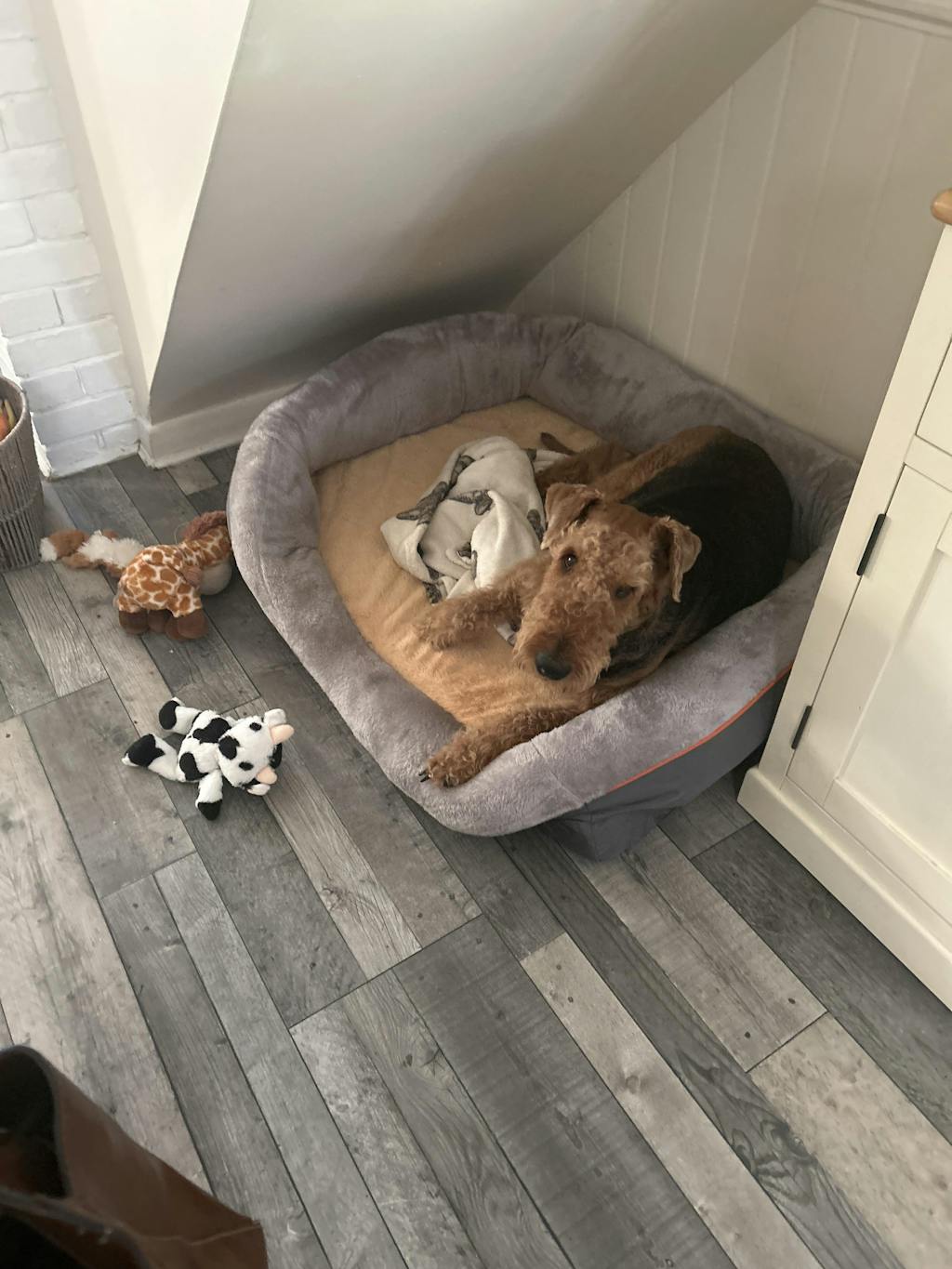 Ultimate Comfort Jumbo Orthopaedic Dog Bed with Memory Foam Couch Waterproof Removable Cover