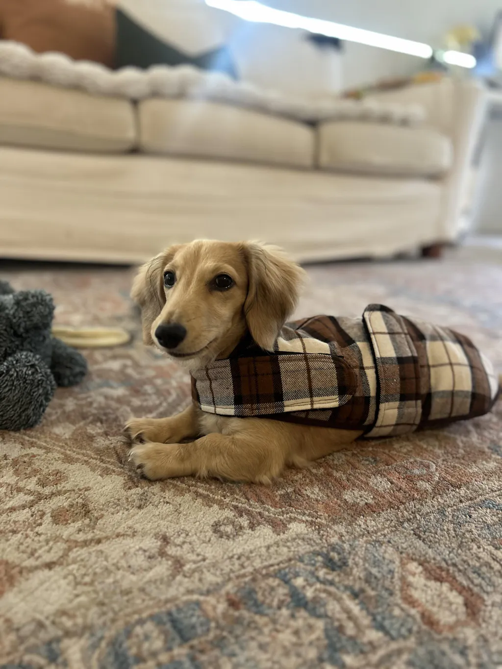 Scottish Oak Heritage Tartan Coat