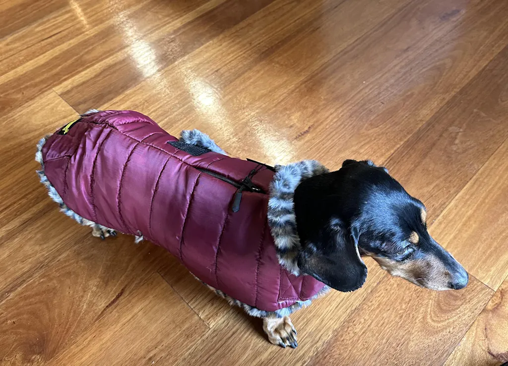 Auburn Leopard Luxe Puffa Coat