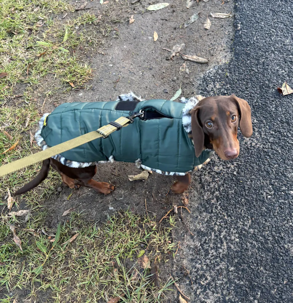 Hunter Green Leopard Luxe Puffa Coat