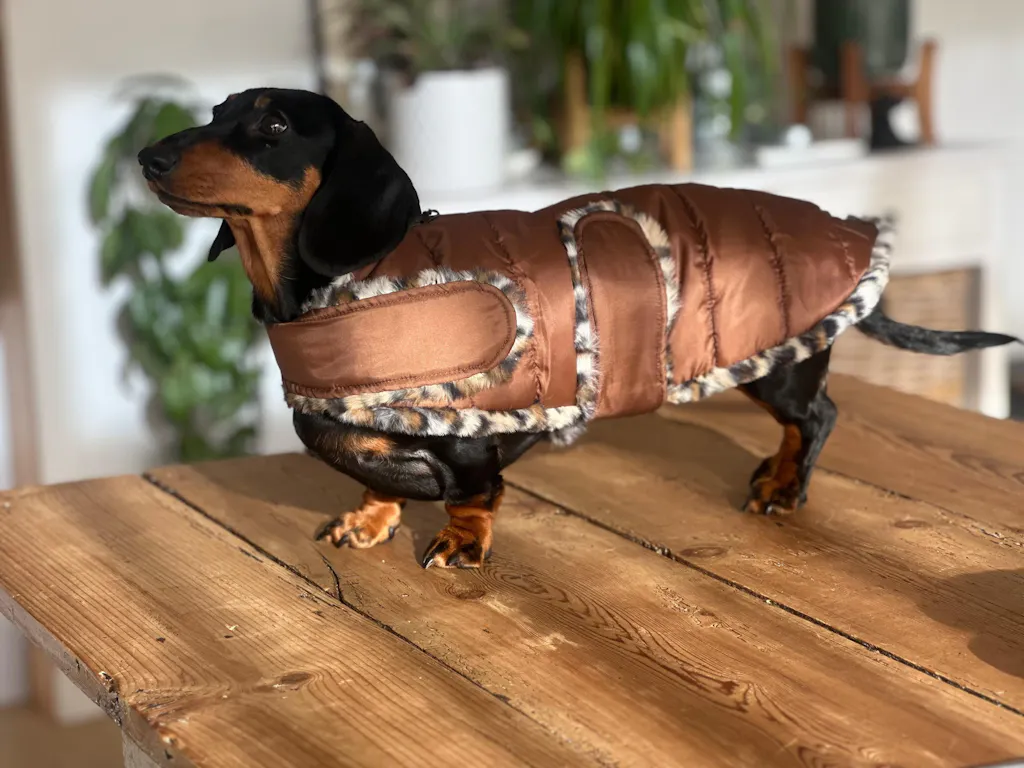 2RoyalHounds