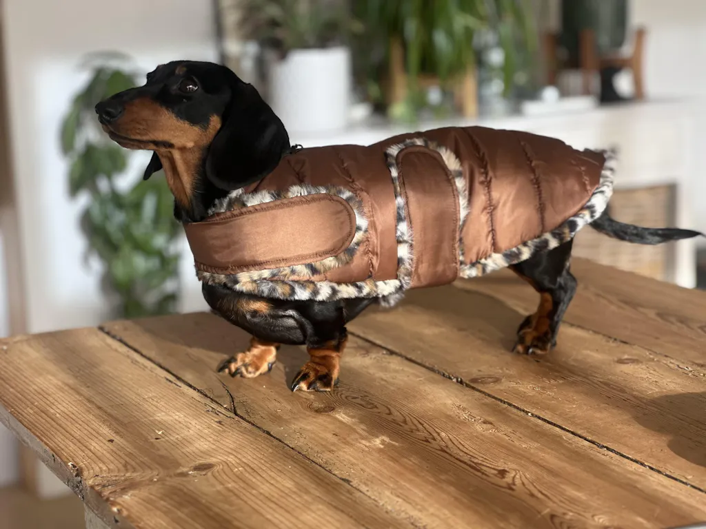 Espresso Leopard Luxe Puffa Coat