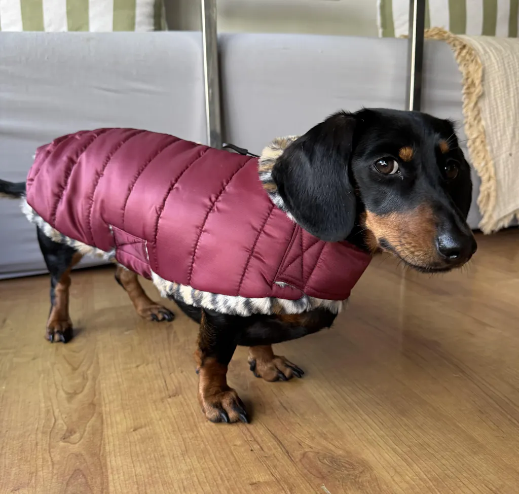Auburn Leopard Luxe Puffa Coat