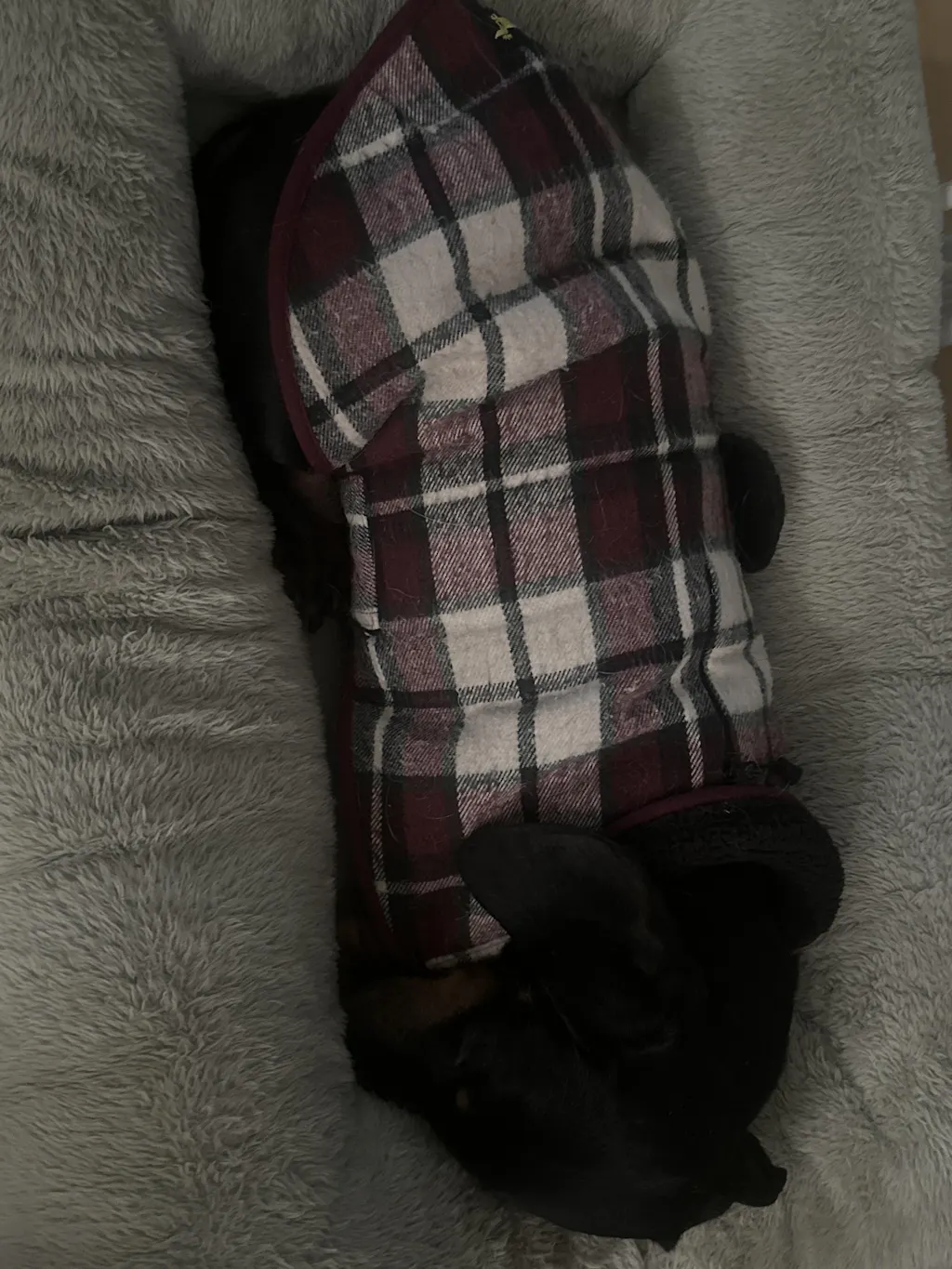 St James Heritage Tartan Coat