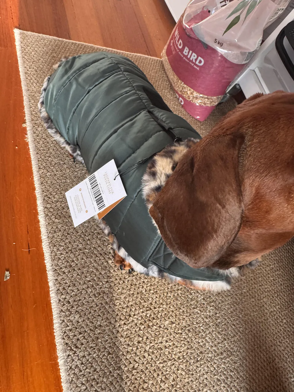 Hunter Green Leopard Luxe Puffa Coat
