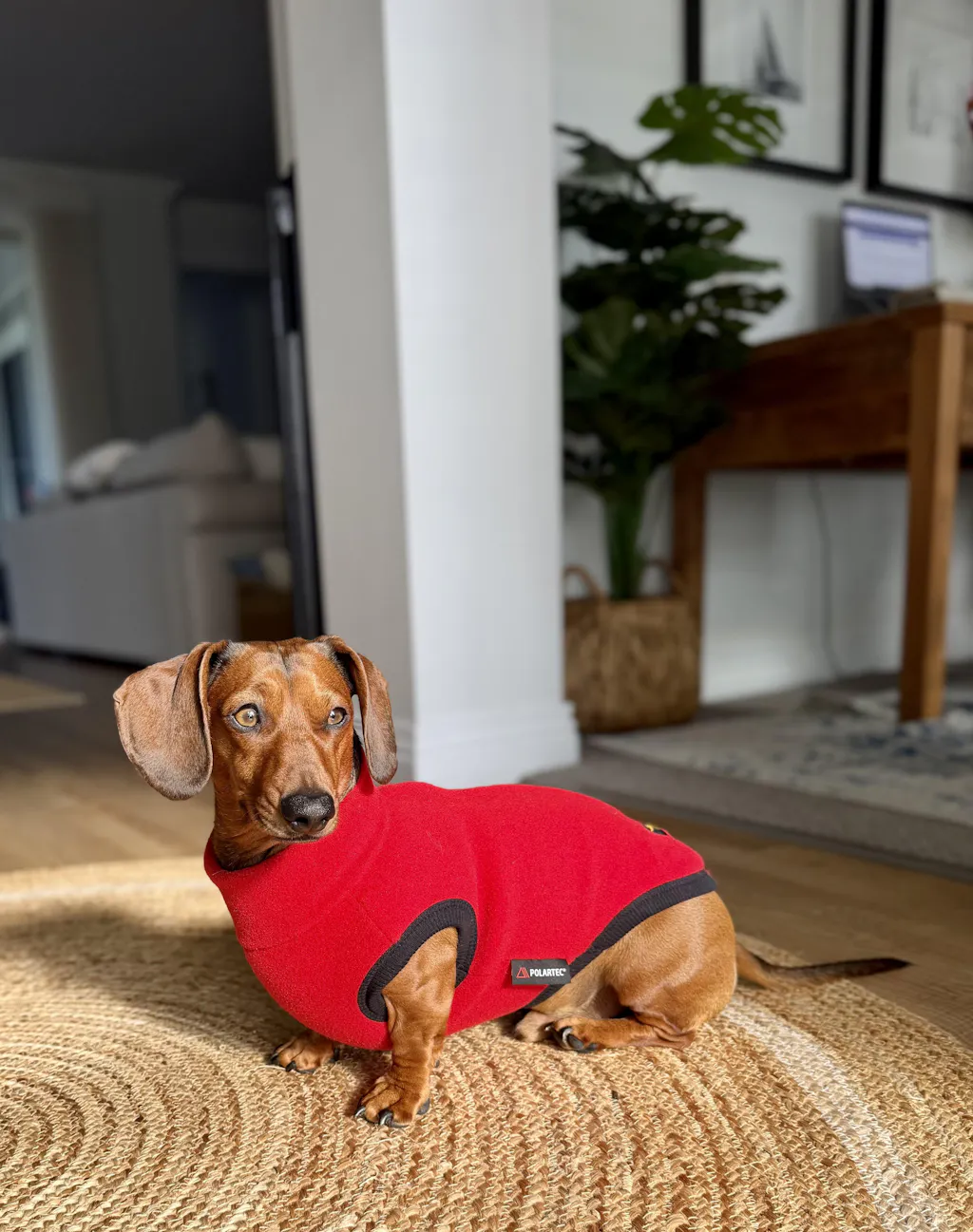 Cherry Red Polartec® Fleece Romper