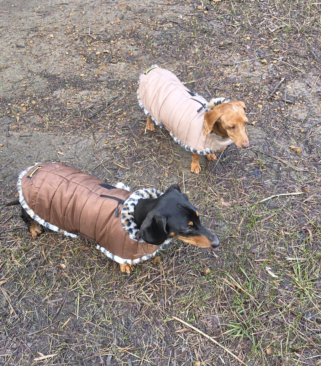 Espresso Leopard Luxe Puffa Coat