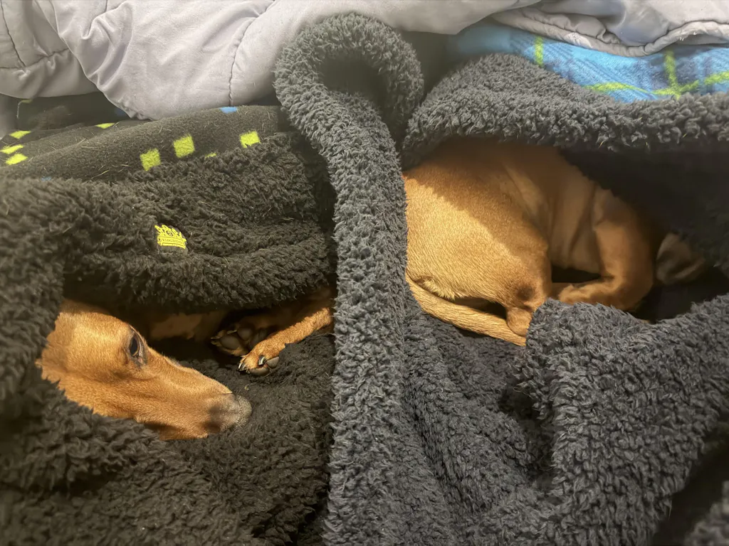 Blue Green Plaid Sherpa Snuggle Sack