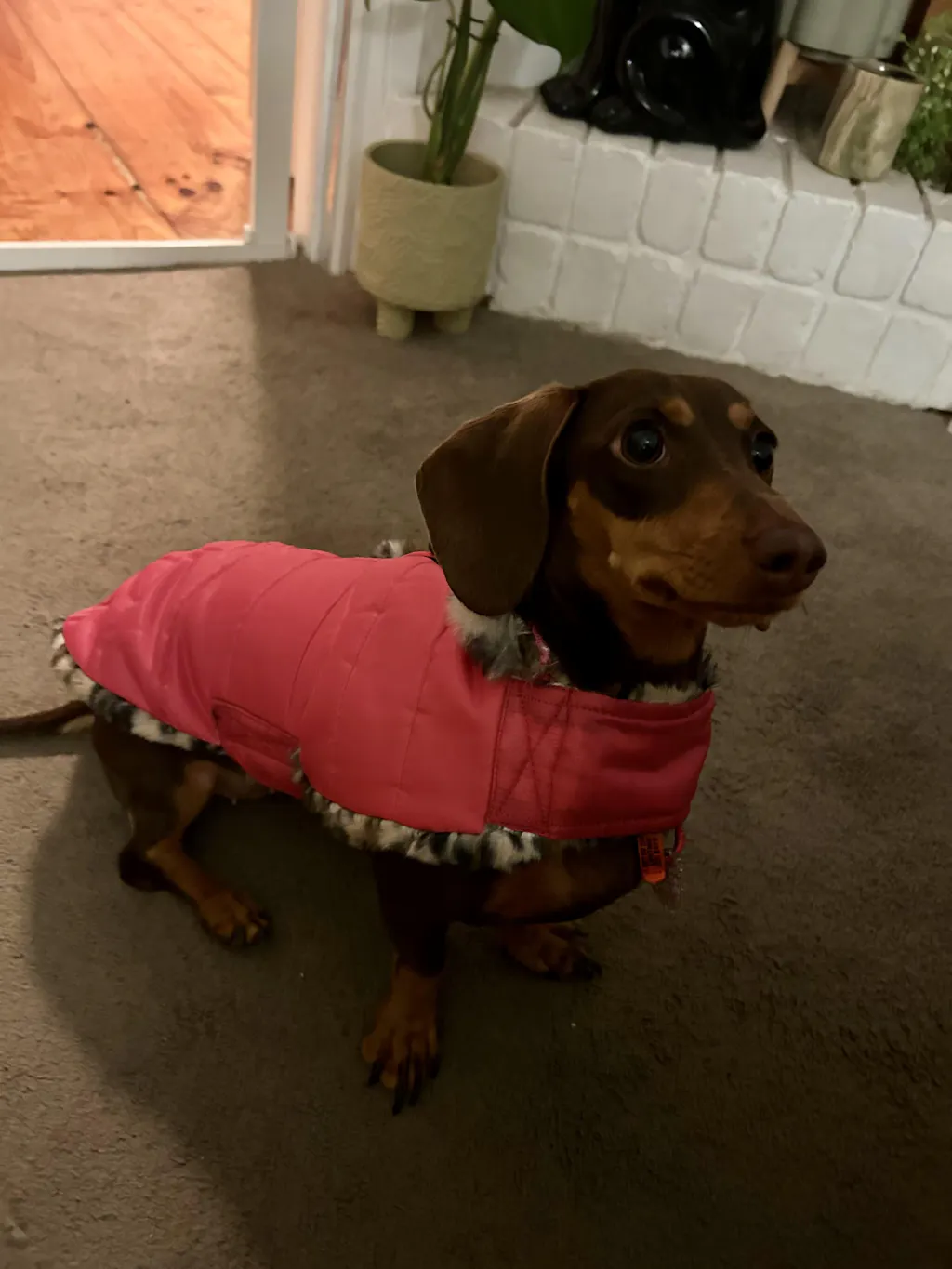 Rose Pink Leopard Luxe Puffa Coat