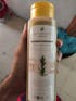 Tratamiento Kit Anticaída Romero y Canela