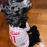 Philadelphia Phillies Dog Pet Jersey Large 16"-17” Length MLB New w  Defects