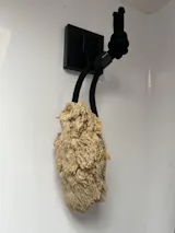 Organic Pohnpei Sea Sponge