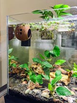 Floating Betta House