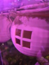 Floating Betta House