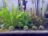 Aquarium Moss Holder, Fish Tank Decor, Perfect for Shrimp and Betta Tank, Set of 3, Aquarium Safe Plastic, Made in Canada and Fast Shipping.