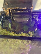 Corner Floating Corral Blocker