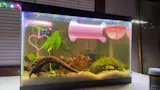 Happy Valentine's Day Betta Active Training Ring