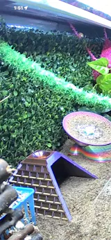 Pyramid Hideout for Hermit Crabs