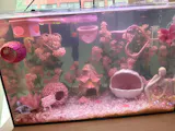 Aquarium Heart Floating Betta Fish Training