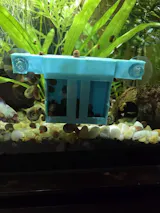 Aquarium Snail Trap