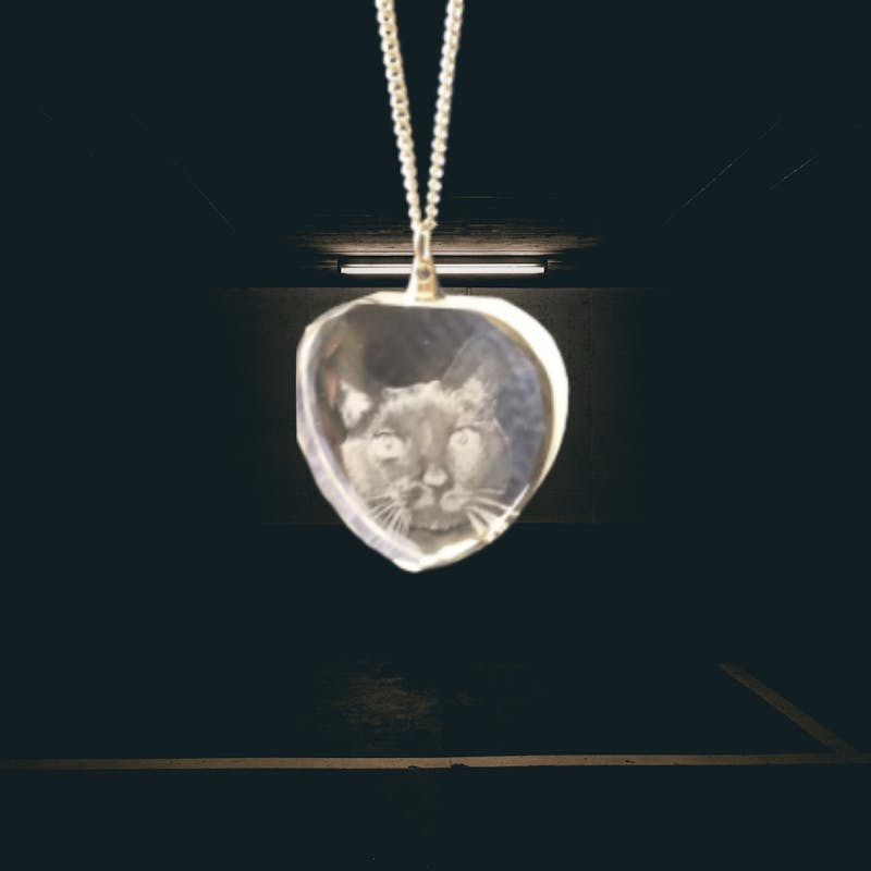 2D Necklace Heart