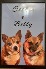 Quadro Personalizado com a foto do seu Pet