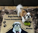 Tapete Personalizado com a Foto do seu Pet