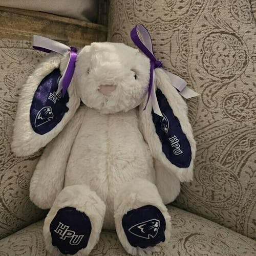 Custom College Jellycat Bashful Bunny