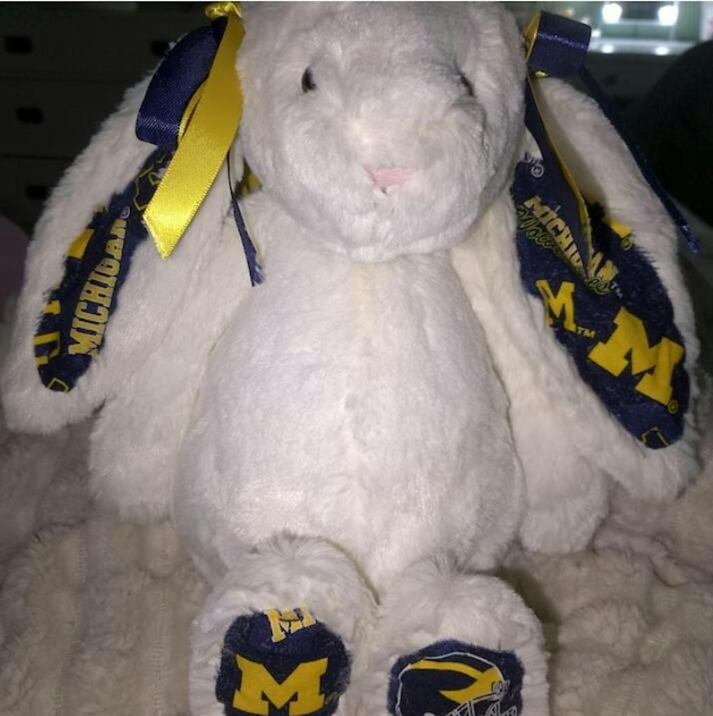 College Jellycat Bashful Bunny