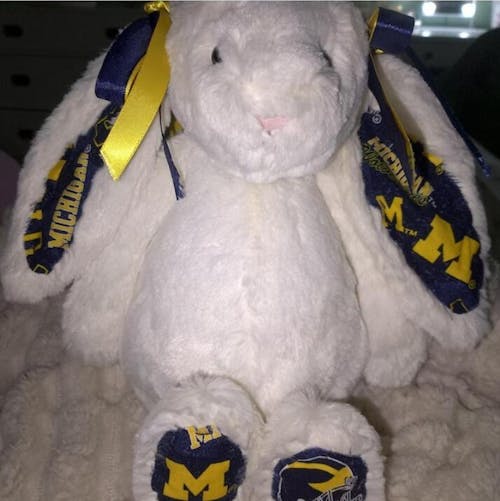 Custom College Jellycat Bashful Bunny