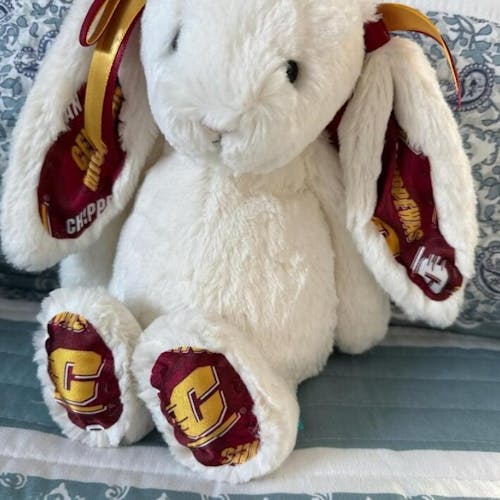Custom College Jellycat Bashful Bunny