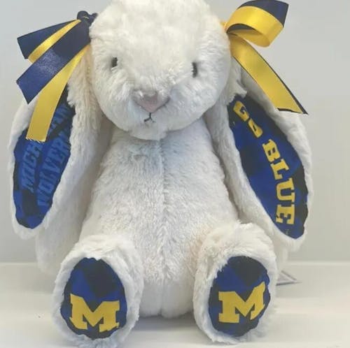 Custom College Jellycat Bashful Bunny