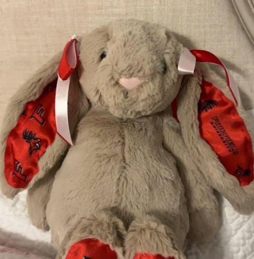 Custom College Jellycat Bashful Bunny