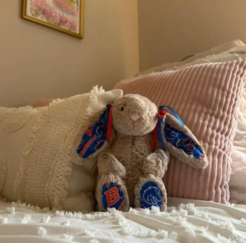 Custom College Jellycat Bashful Bunny