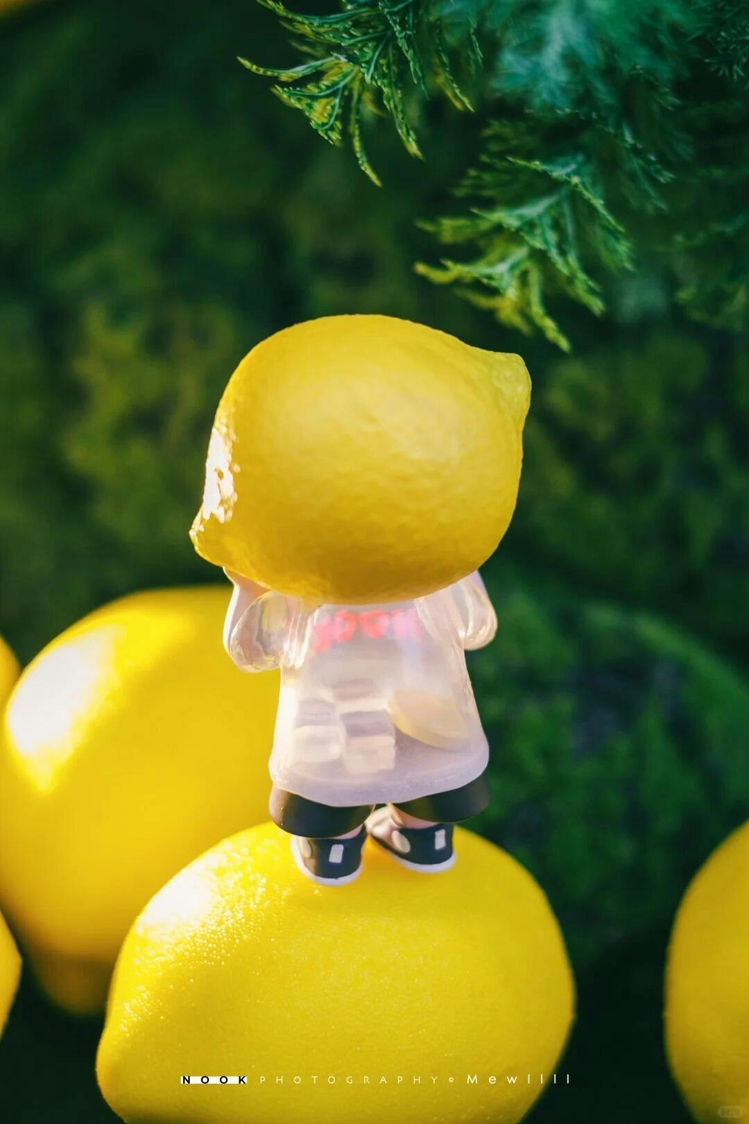 NOOK - BANANANA 120% LIMITED EDITION