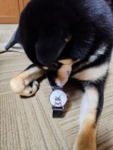 とけい屋びと。