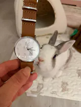 うさぎ（ホワイトグレー）立ち耳