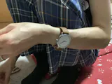 しば犬（白）➁