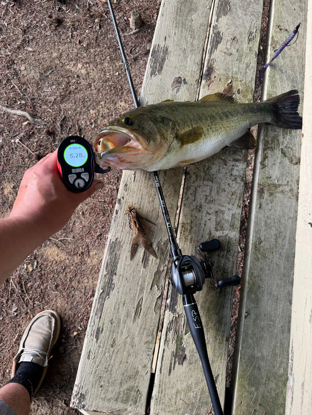 Axle Hybrid Finesse Jig - Tipped Craw Jig | 6th Sense Fis – 6th
