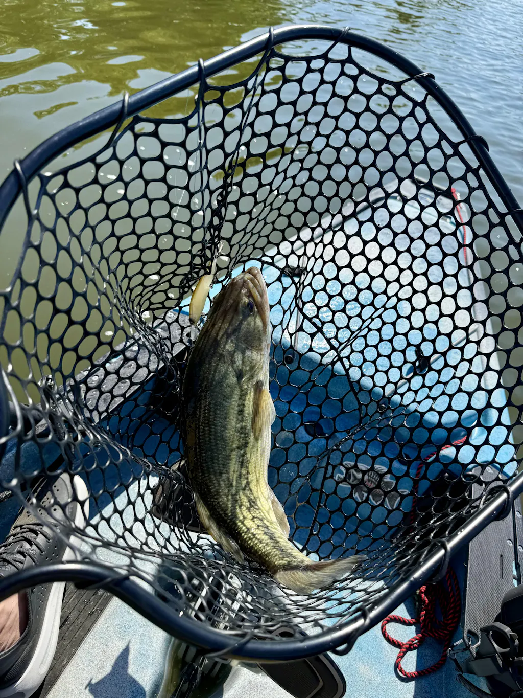 Provoke Series - Matte Natural Jerkbait | 6th Sense Fishing