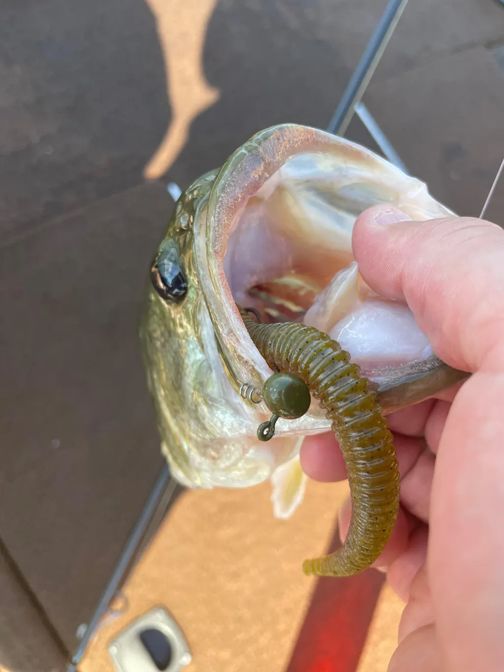 bass fishing in mississippi dead lakes and lures Mississippi Bass Fishing Options