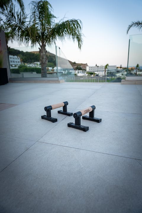 7Z Parallettes Smart