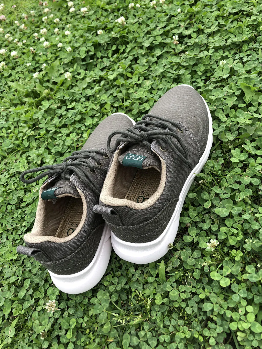 Explorer V2.0オールベージュ (sku: EV2-365-ALBE) | 8000kicks Japan
