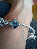 Rose Pawsome Charm