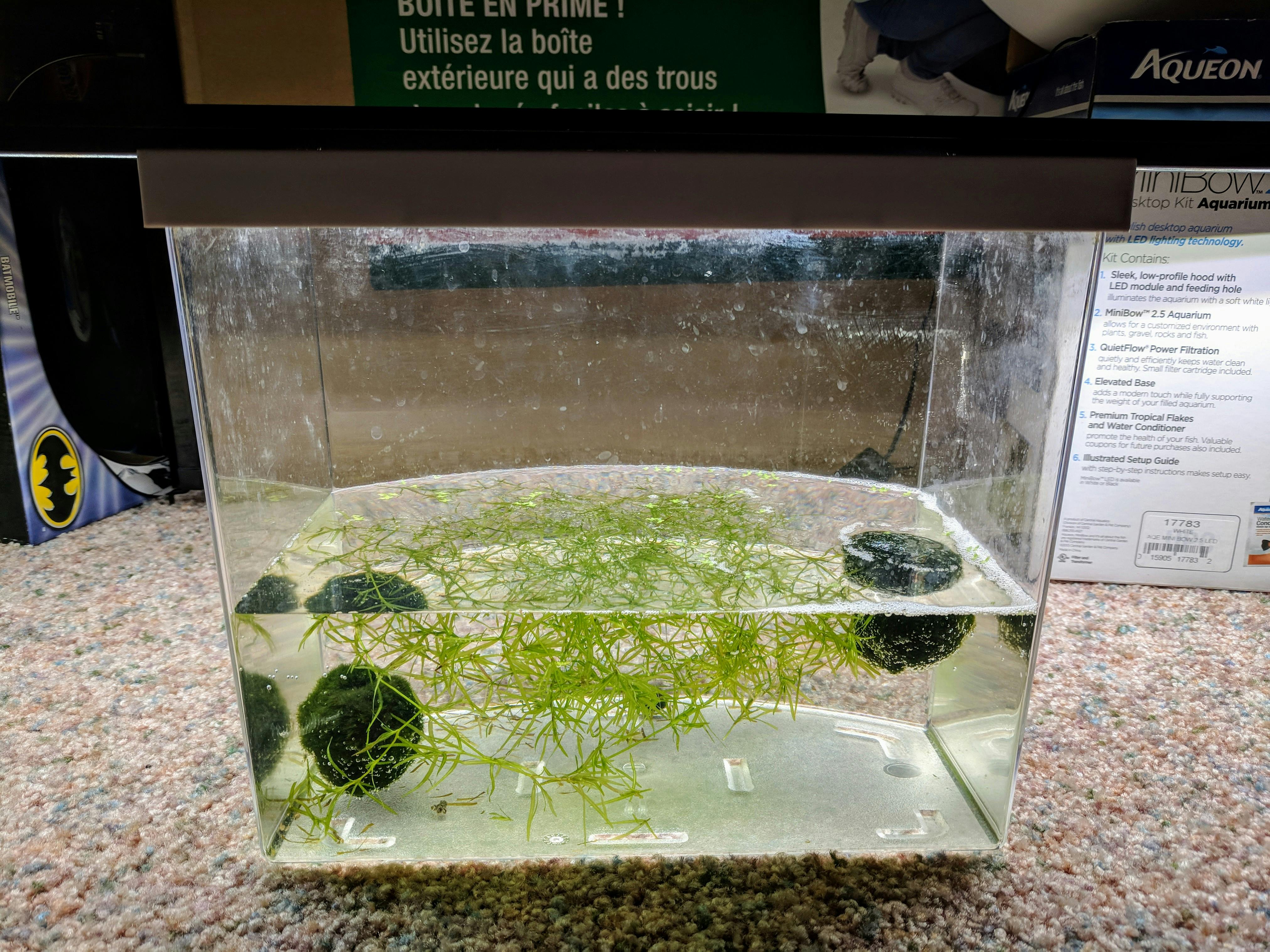 Fluval Plant 3.0 LED Light For Sale